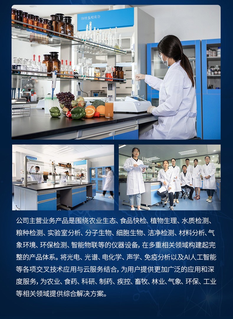 熔融指数测定仪